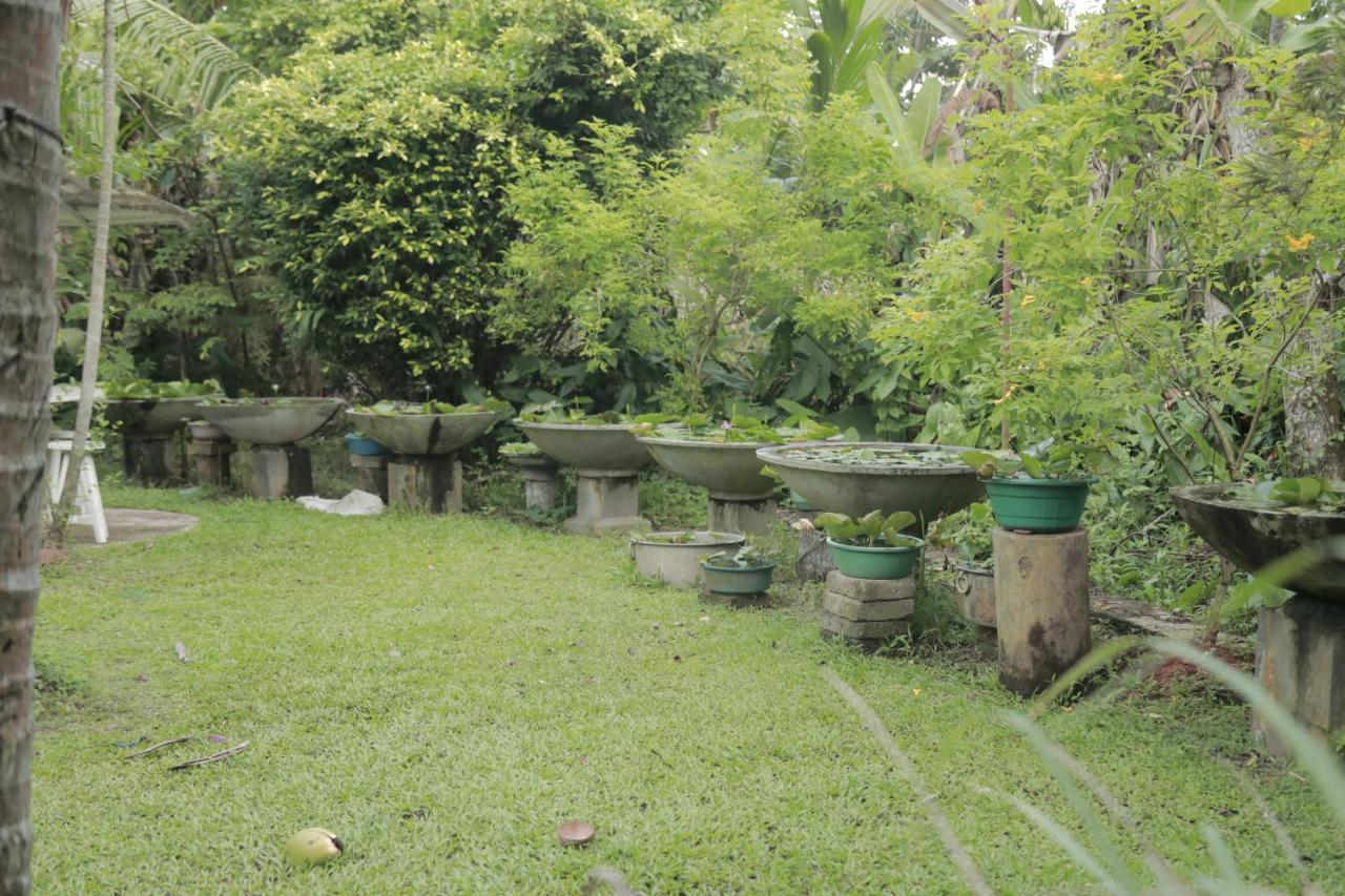Kirala Villa Mihiripenne Exterior foto